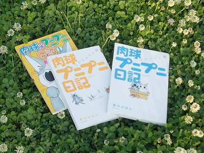 野中のばら猫漫画 肉球プニプニ日記 愛猫への観察力が凄い 猫と漫画と Nekocomic Com